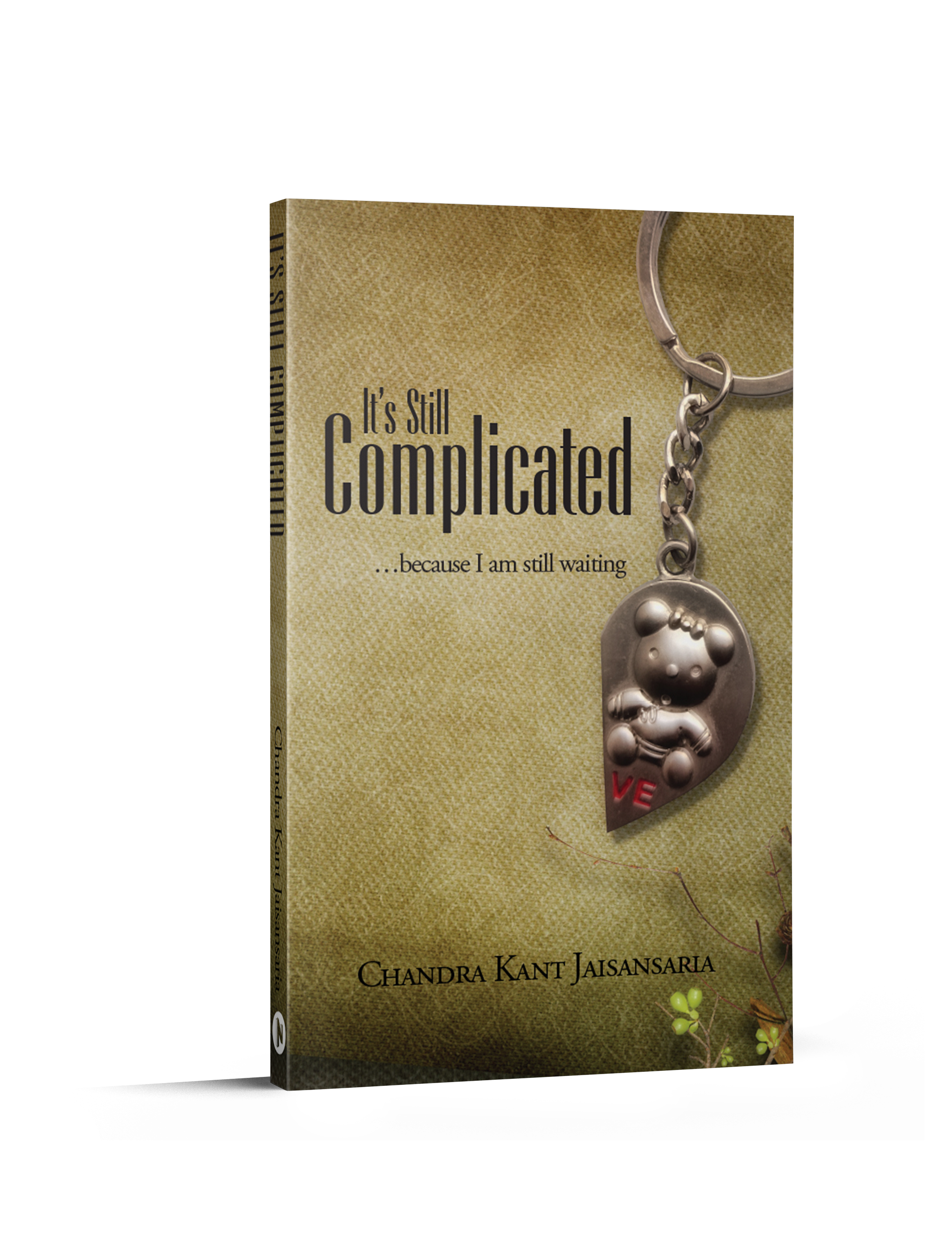 Its still complicated png cover (right)